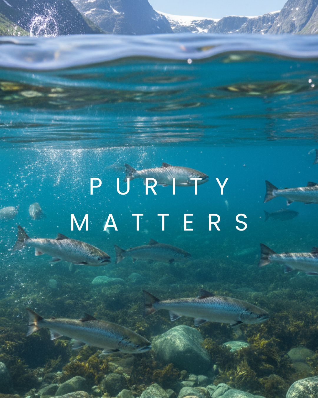 Purity matters