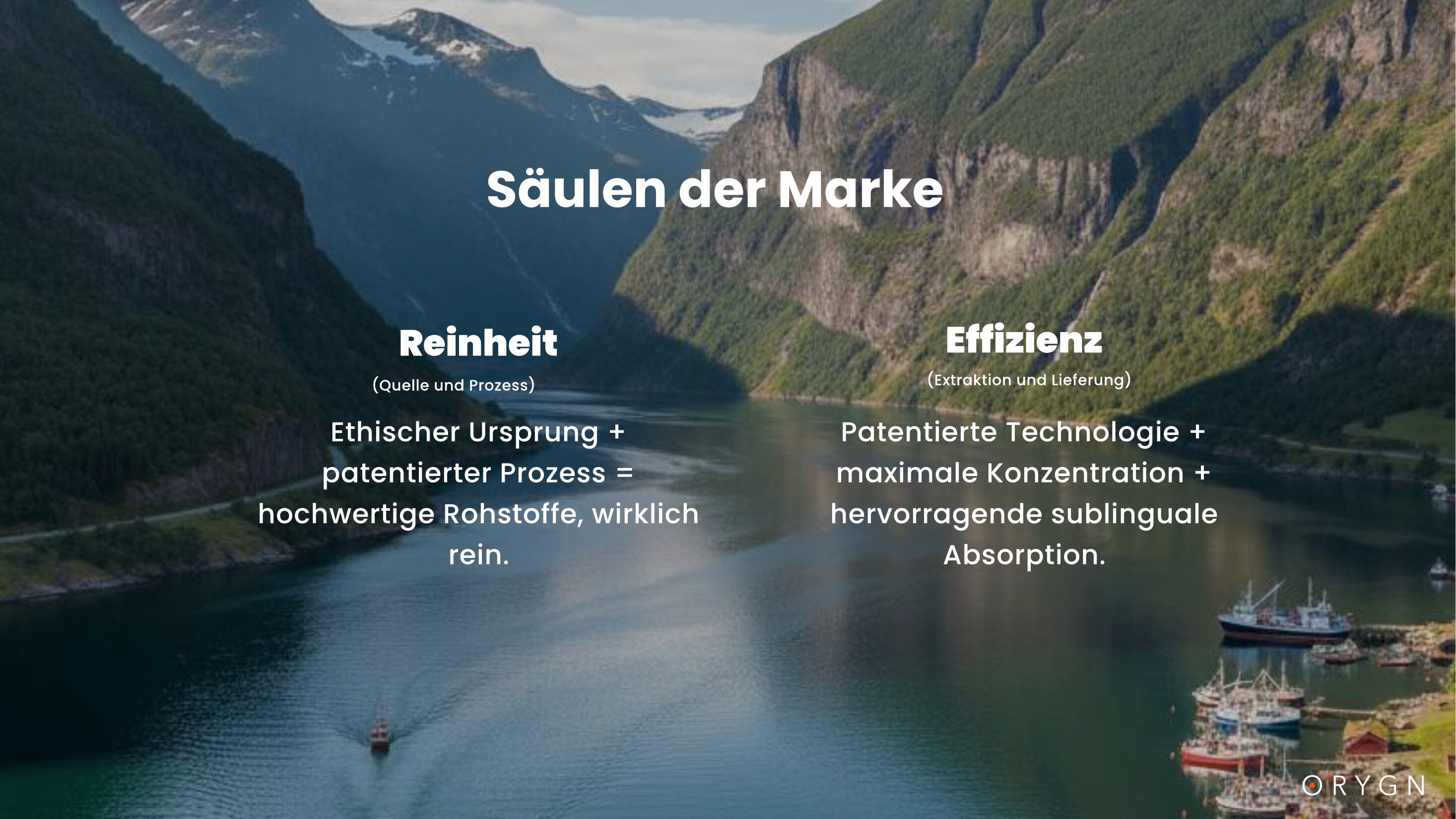 ORYGN Presentation — Danish (translated) — page 2 of 18