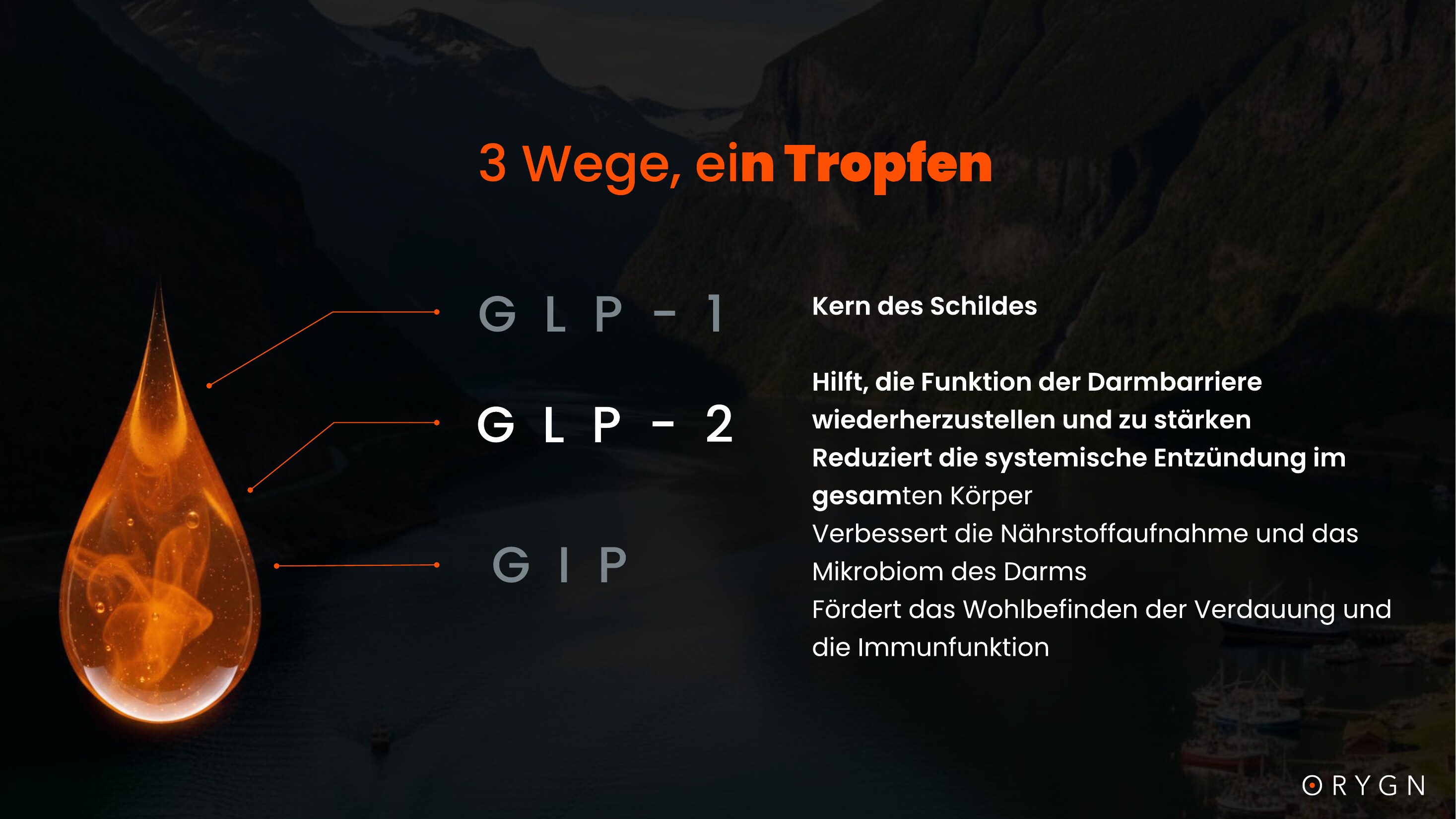 ORYGN Presentation — Danish (translated) — page 6 of 18