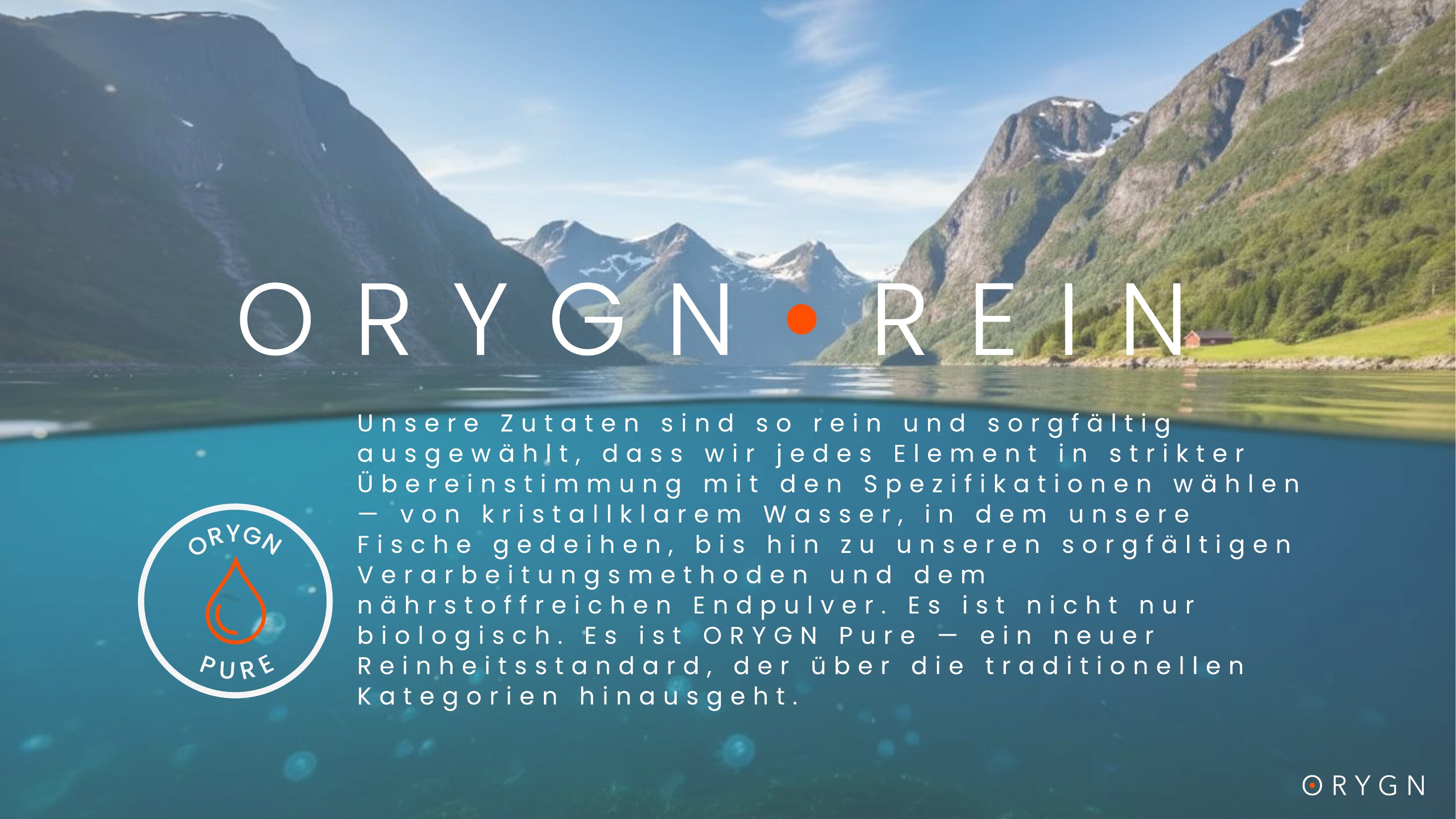 ORYGN Presentation — Danish (translated) — page 11 of 18